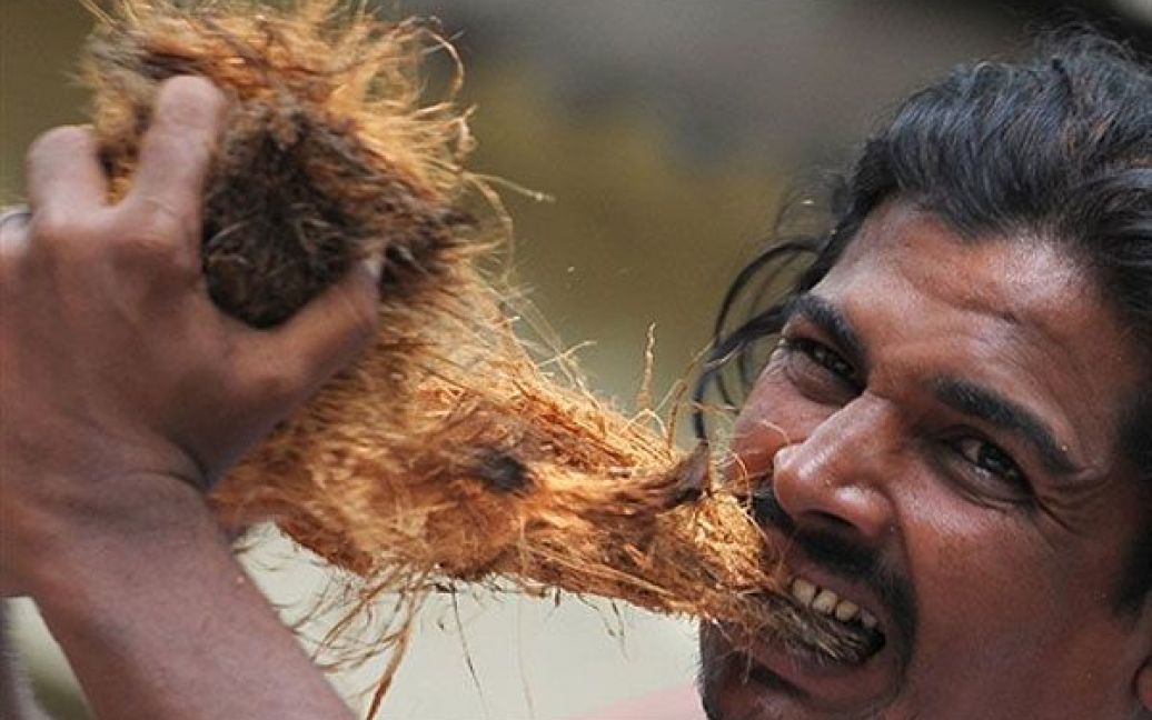 Індія, Бангалор. Віджай Кумар, 32 роки, чистить зубами кокос. Віджай спробував увійти до Книги рекордів Гіннеса, почистивши зубами 3 кокоси протягом 1 хвилини. / © AFP