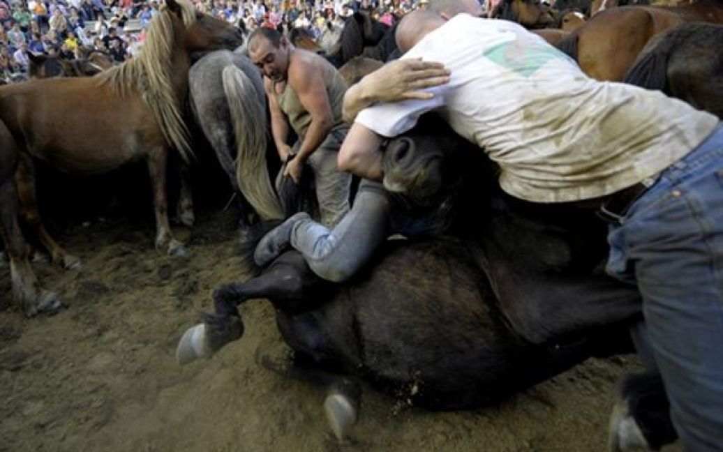 3.07. Фестиваль приборкання диких коней у Сабусебо, Іспанія. За один день місцеві жителі змогли приборка близько 300 диких коней. / © AFP