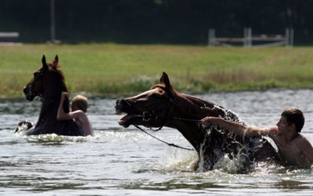 Хлопці купають коней у Качино, Білорусь. У липні середня повітря у Мінську сягнула 33 градусів, що на 5 градусів більше за максимально високу липневу температуру, яка була зафіксована у місті за роки дослідження. / © AFP