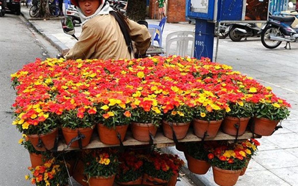 В&#039;єтнам, Ханой. Продавець квітів перевозить на мотоциклі свій товар у невеликих керамічних горщиках вулицею у центрі Ханоя. В&rsquo;єтнам готується до святкування 1000-річчя своєї столиці. / © AFP