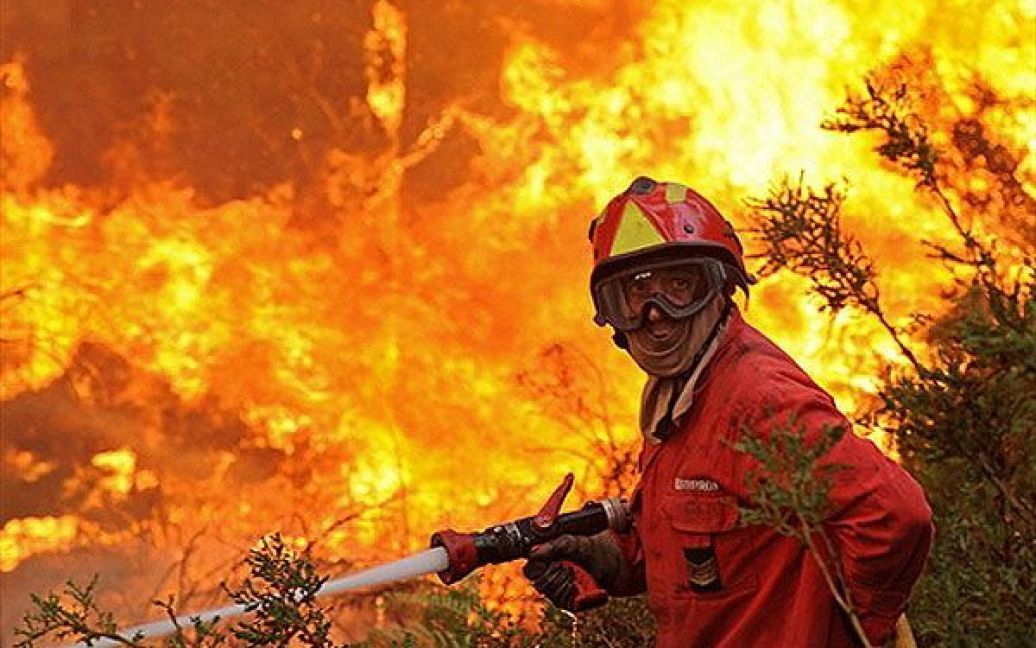 Португалія, Сан-Педру-ду-Сул. Пожежний намагається загасити вогонь під час лісової пожежі неподалік від Сан-Педру-ду-Сул у центральній Португалії. Португальські військові приєднались до пожежних у боротьбі проти лісових пожеж, що вирують на півночі країни. В результаті пожеж 3 людини отримали поранення. / © AFP