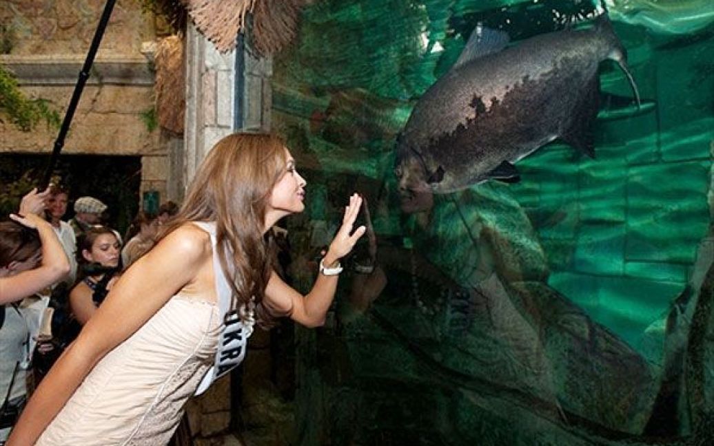 США, Лас-Вегас. Міс Україна-Всесвіт-2010 Анна Пославська роздивляється риб у акваріумі "Shark Reef" у Лас-Вегасі, штат Невада. Міжнародний конкурс краси "Міс Всесвіт 2010" пройде 23 серпня 2010. / © AFP