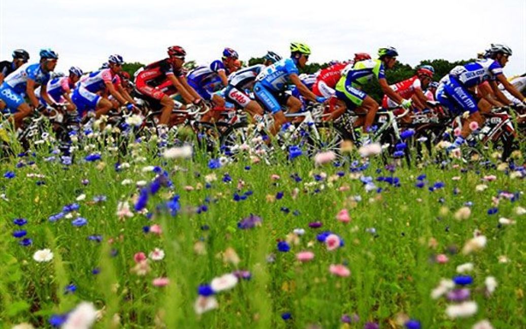 Франція, Монтаржі. Група лідерів велогонки "Тур де Франс" їде повз квітуче поле на початку шостого етапу велогонки, який складає 227,5 км, між Монтаржі і Геньоном, у центрі Франції. / © AFP