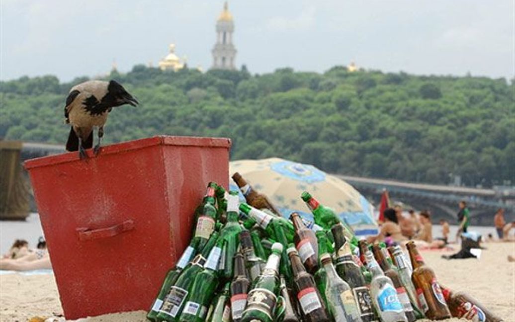 Україна, Київ. Ворона сидить на сміттєвому баку на одному з пляжів у центрі Києва на Дніпрі, заваленому порожніми пляшками та іншим сміттям / © AFP