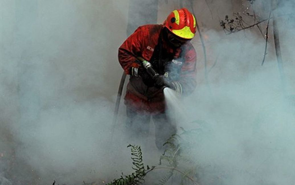 Португальський пожежник намагається загасити лісову пожежу. Країни ЄС відправили до Португалії кілька десятків пожежних гелікоптерів для допомоги у боротьбі із лісовими пожежами. / © AFP