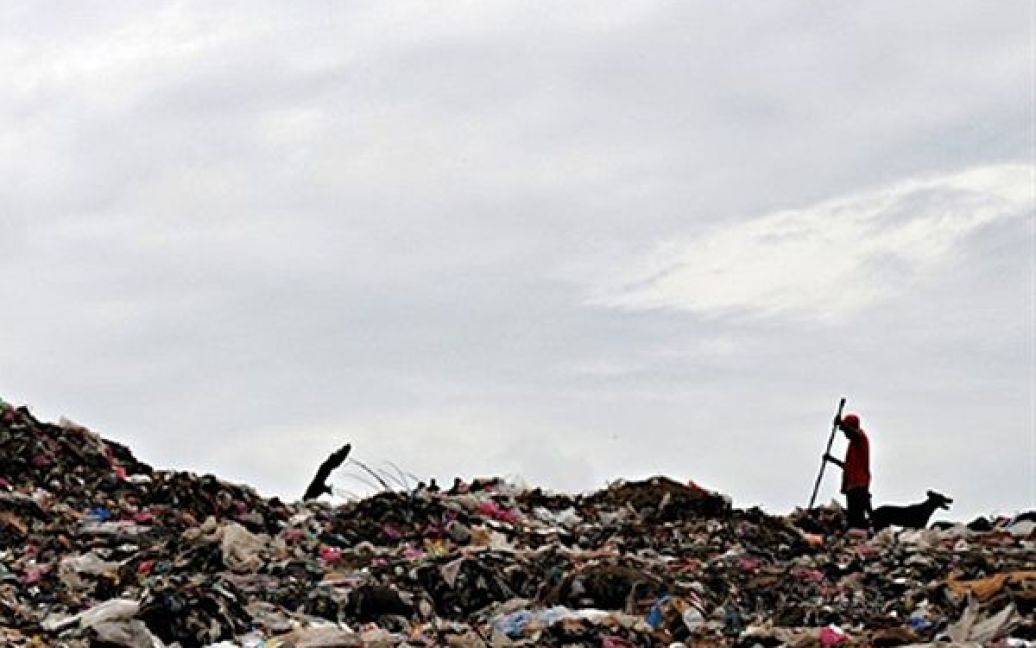 Чоловік збирає сміття на міському звалищі у Манагуа. Іспанське агентство міжнародної співпраці збирається побудувати на цьому звалищі житло для бідних мешканців Манагуа та 2 заводи з переробки сміття. / © AFP