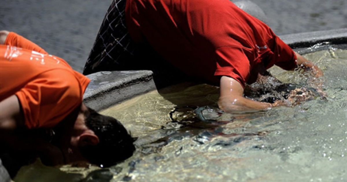 Молодь охолоджується у фонтані на одній з площ Риму. Римляни страждають від надзвичайної спеки, яку приніс антициклон з Сахари. / © AFP