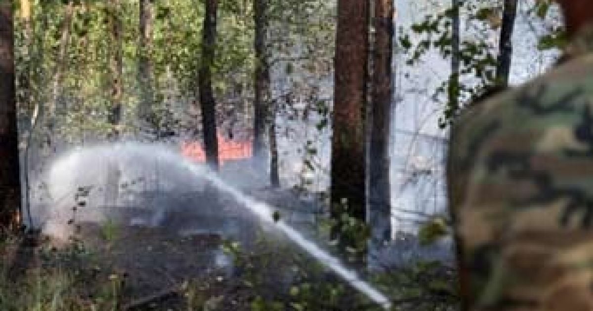 Пожары были зарегистрированы в Бурятии, Туве, Забайкальском крае, Иркутской области и Республике Алтай