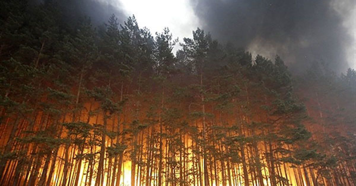 Росія, Долгініно. Ліс палає поблизу села Долгініно. Кількість загиблих в результаті лісових пожеж, які охопили низку регіонів Росії, зросла до 50 людей. У країні продовжують горіти більше п&#039;ятисот вогнищ. У гасінні пожеж задіяні понад 170 тисяч людей, в тому числі армія та добровольці, 30 вертольотів та літаків. Природні пожежі через аномальну спеку та посуху зафіксовані у 17 регіонах РФ. У семи з них, у тому числі в Московській області, оголошено режим надзвичайної ситуації. Вогнем знищено майже 2 тисячі будинків, без даху над головою залишилися понад 3,5 тисяч людей. / © AFP