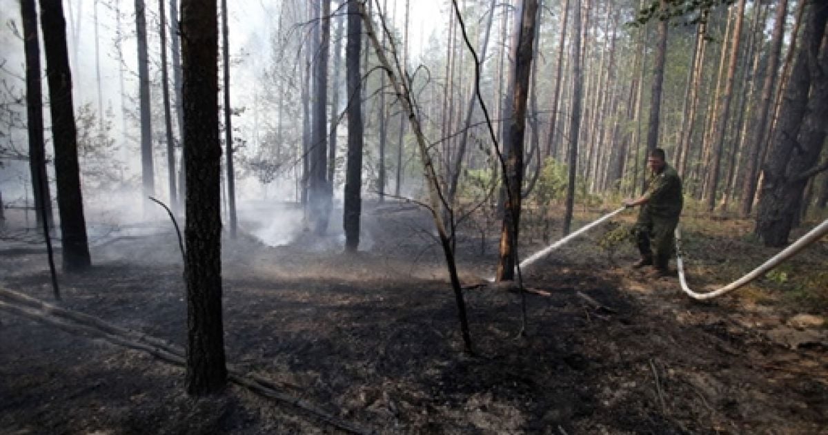 У Нижньогородській області гасять пожежі 190 одиниць техніки і 1,5 тис. людей. / © AFP