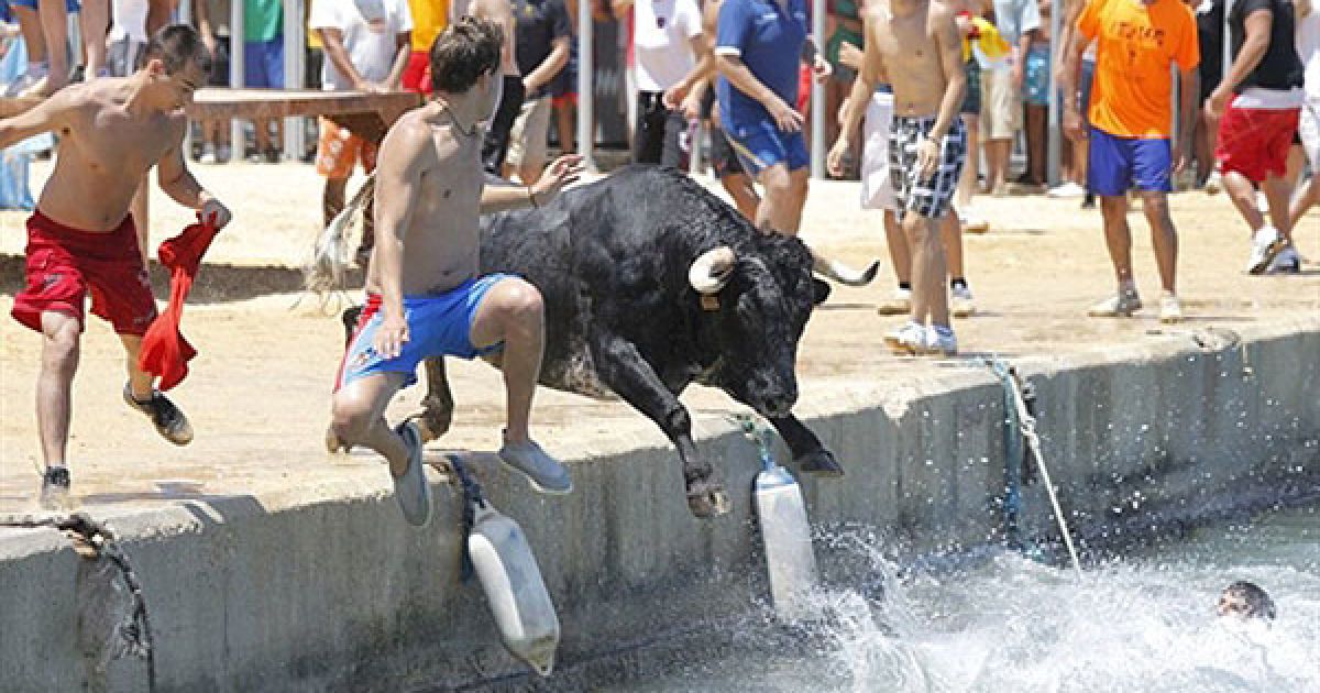 Іспанія, Денія. Учасник свята і бик стрибають у воду під час традиційного забігу биків у порту Денія. / © AFP