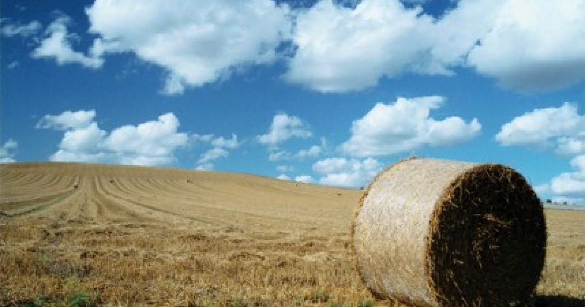 В Украине будет сухо и тепло