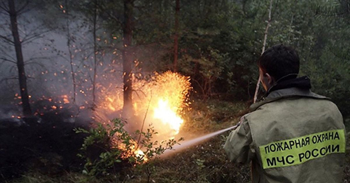 29.07. Пожежник намагається загасити лісову пожежу у селі Рязановка, Московська область. У росії розпочався сезон лісових пожеж. / © AFP