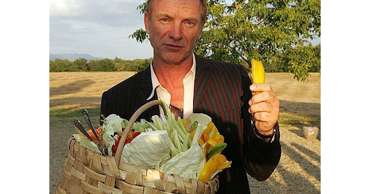 Магазин від Стінга і Труді буде продавати оливкову олію, вино, мед і салямі, виготовлені зі спеціальної свинини місцевого походження. / © Socialite Life