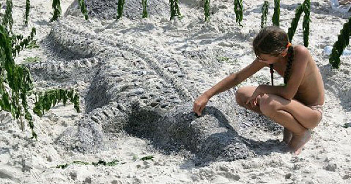 Учасники конкурсу в Одесі ліпили з піску крокодила, слона, будували замки з піску, а також барельєфи відомих людей. / © УНІАН