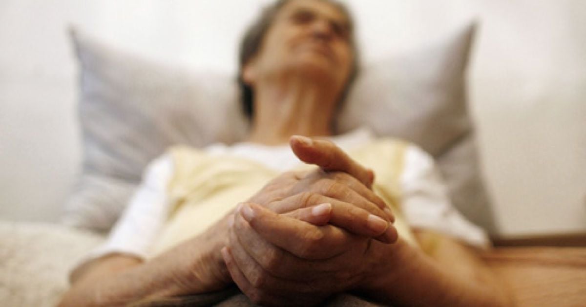 Людство впадає в маразм