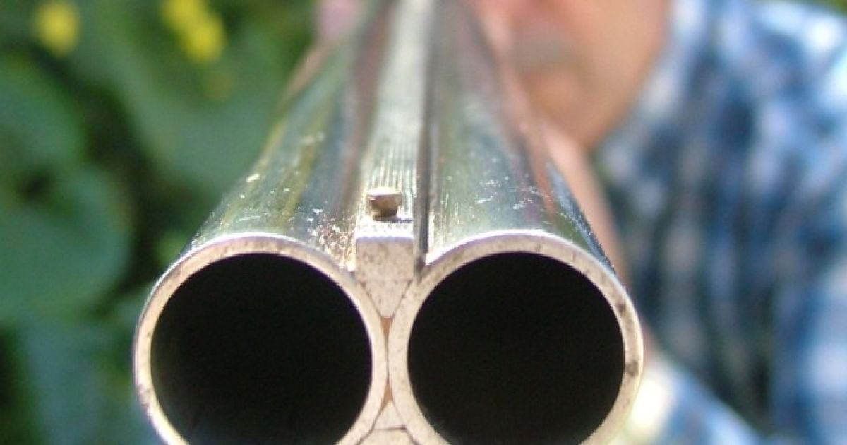 Ходити українськими лісами стало зовсім небезпечно