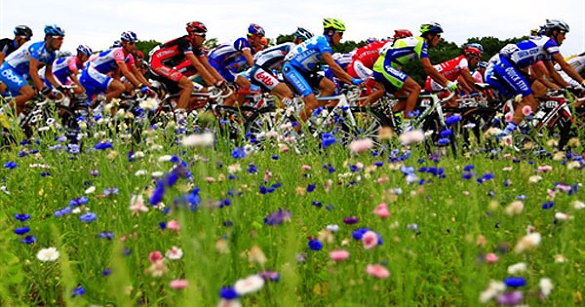 Франція, Монтаржі. Група лідерів велогонки "Тур де Франс" їде повз квітуче поле на початку шостого етапу велогонки, який складає 227,5 км, між Монтаржі і Геньоном, у центрі Франції. / © AFP