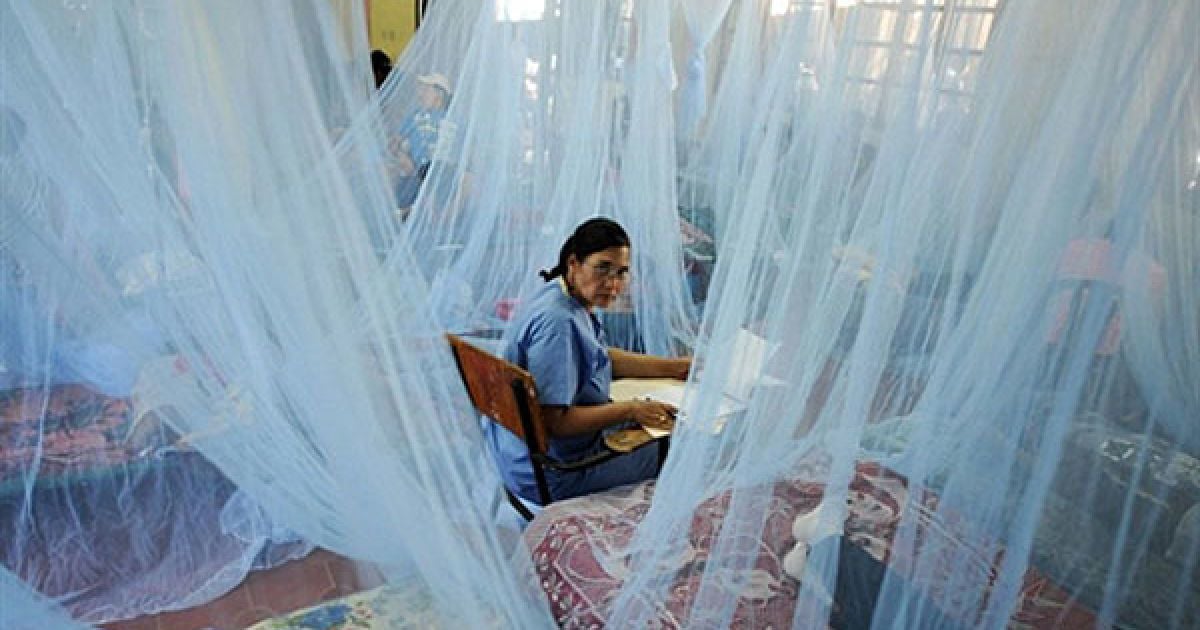 Гондурас, Тегусігальпа. Медсестра працює у відділення для пацієнтів, які страждають на лихоманку денге, у лікарні Алонсо Суасо в Тегусігальпі. Через епідемію денге у Гондурасі всі лікарні наразі переповнені. / © AFP