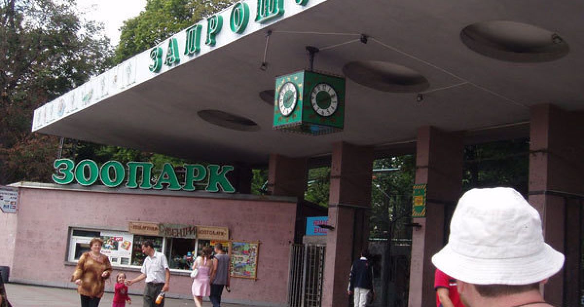 У Київському зоопарку нікому лікувати тварин