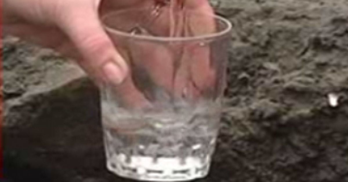 У Миколаївській області під час Дня здоров’я масово захворіли школярі: підозрюють воду з джерела