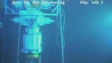 Новую утечку в Мексиканском заливе объяснили "естественными причинами"