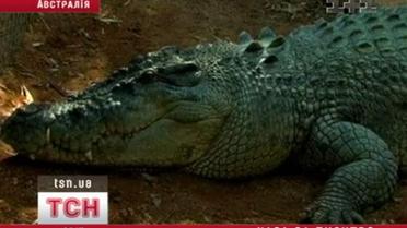 Австралиец прыгнул в клетку к крокодилу
