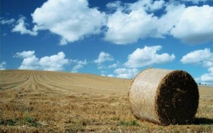 Синоптики прогнозируют в Украине потепление перед выходными