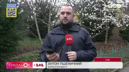 В Киевском ботаническом саду имени Фомина расцвели магнолии