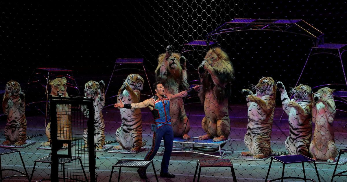 Ringling Bros_6 / © Reuters