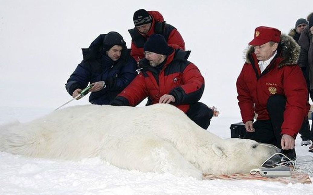 Учасники експедиції вимірюють тварину. / © AFP