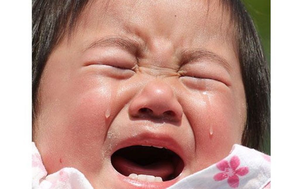 Японські батьки вірять, що участь у фестивалі плачу допомагає малюкам рости здоровими. / © Getty Images/Fotobank