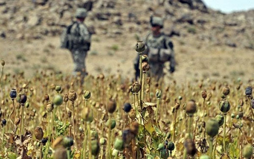 Афганістан, Кандагар. Американські солдати під час патрулювання біля макового поля в районі Шавалі Кот провінції Кандагар. / © AFP