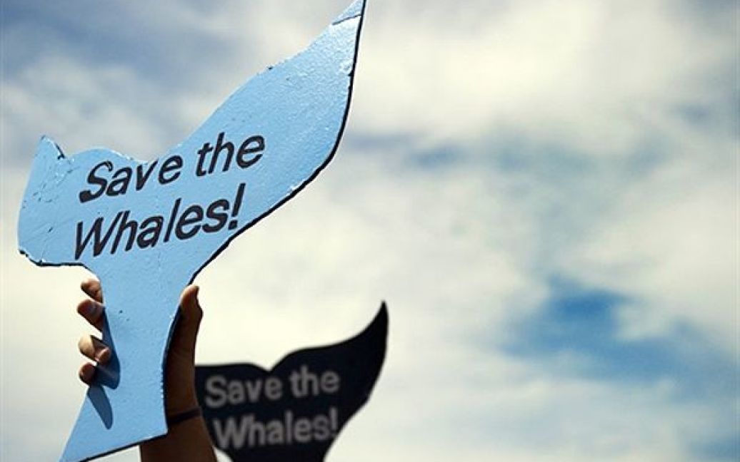 22.04. Вашингтон. Демонстрація з вимогою заборонити полювання на китів, присвячена до Дня Землі. / © AFP