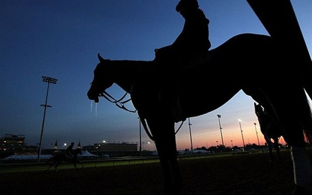 Тренування коней перед перегонами на іподромі Луїзвіля, США. / © AFP