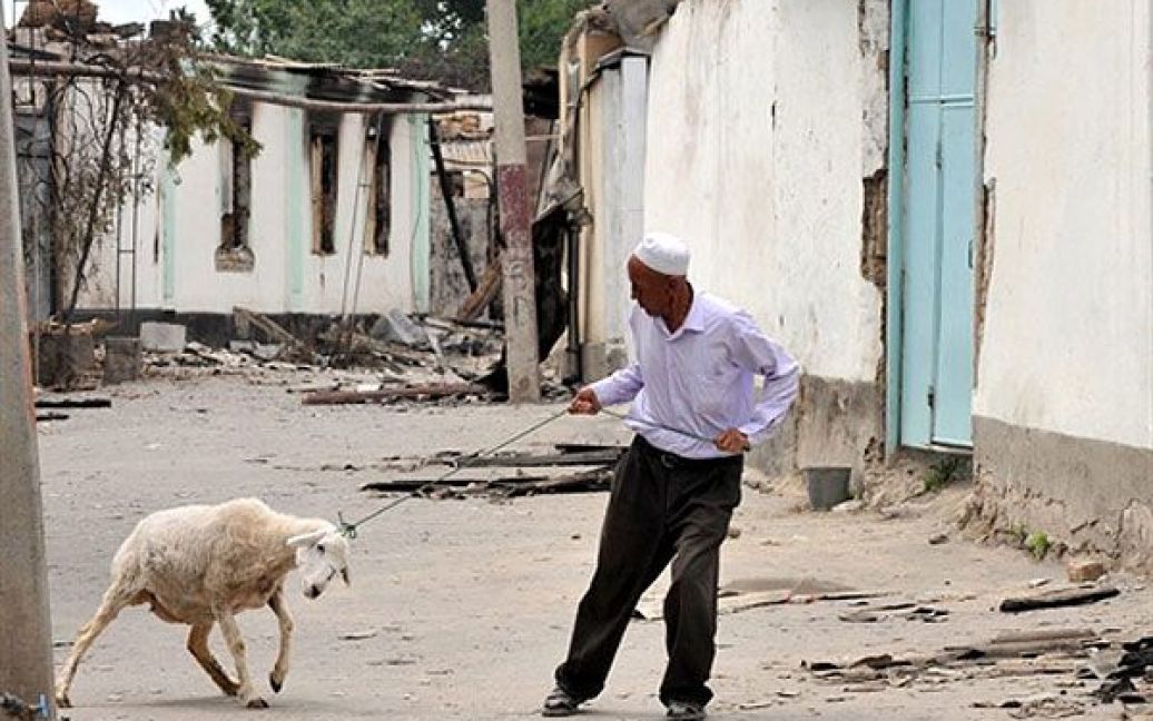 Протягом кількох днів у районах, охоплених заворушеннями, відбувалися погроми і підпали житлових будинків, бешкетували мародери. / © AFP