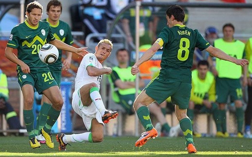 Збірна Словенії перемогла збірну Алжиру з рахунком 1:0. / © AFP