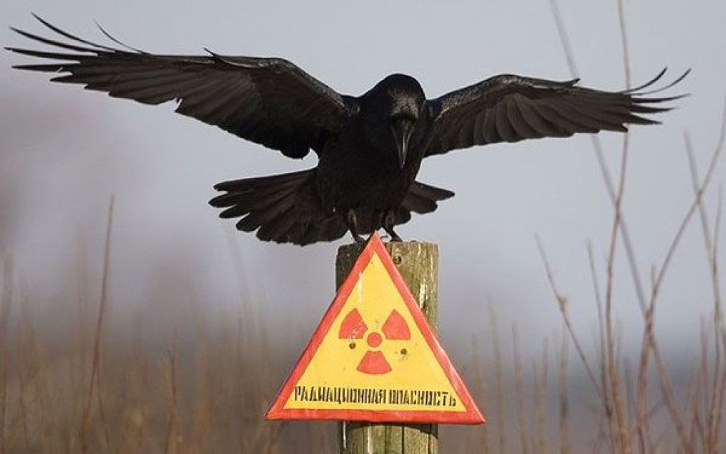 26 квітня 1986 року в Україні сталася наймасштабніша техногенна катастрофа - аварія на Чорнобильській атомній електростанції. / © AFP