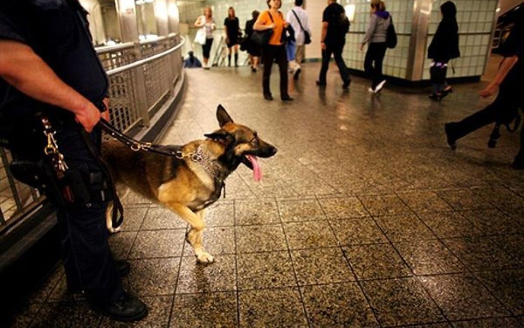Офіцер поліції та собака-сапер чергуються на станції метро "Таймс-Сквер" у Нью-Йорку. Вчора поліція змогла знайти та знешкодити бомбу, яка була захована у машині, на площі Таймс-Сквер. / © AFP