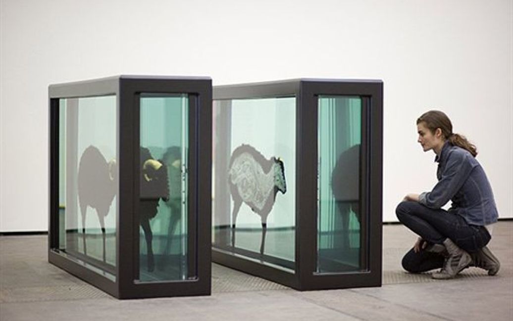 У Берліні відкрилася спільна виставка Деміена Херста та Майкла Джу. На фото робота Деміена Херста "Чорна вівця з золотими рогами". / © AFP
