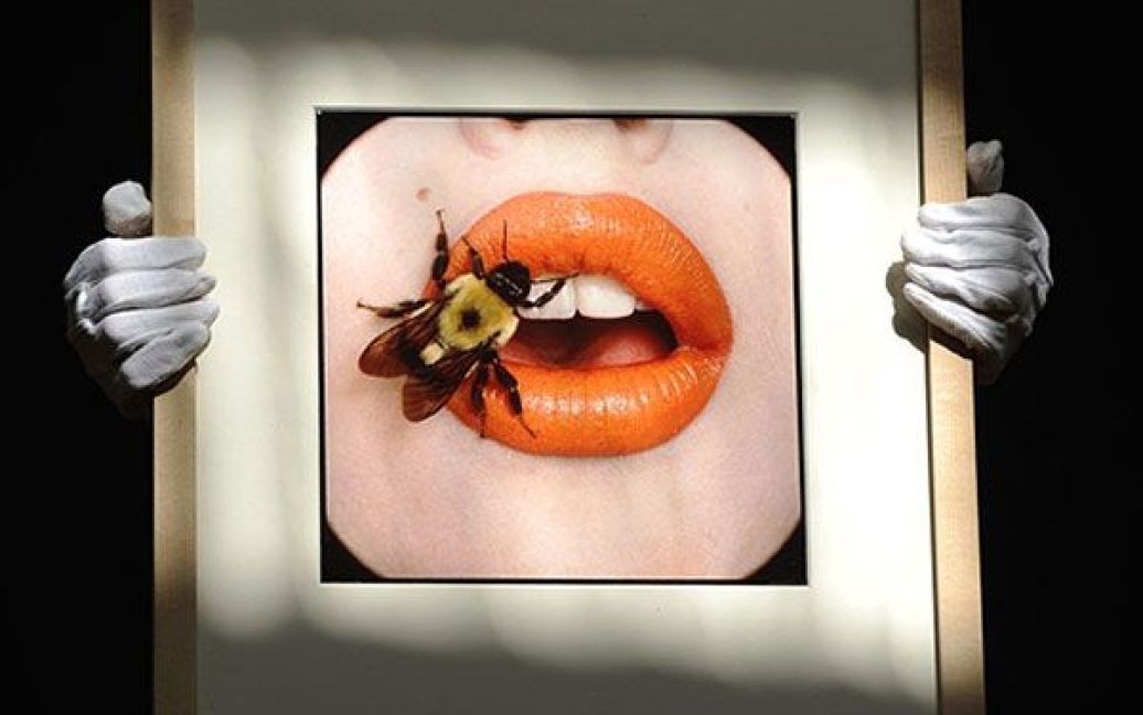 Великобританія, Лондон. Фотографію Ірвінга Пенна "Бджола", зроблену у 1995 році, продадуть на аукціоні Christie&#039;s. Очікується, що ціна фотографії досягне 15-20 тисяч фунтів стерлінгів. / © AFP