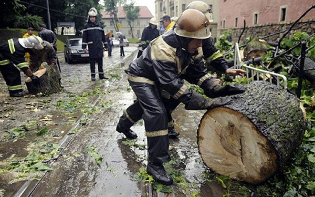 В результаті сильного вітру і зливи в багатьох районах міста повалило дерева, внаслідок чого на окремих дорогах було припинено рух. / © AFP