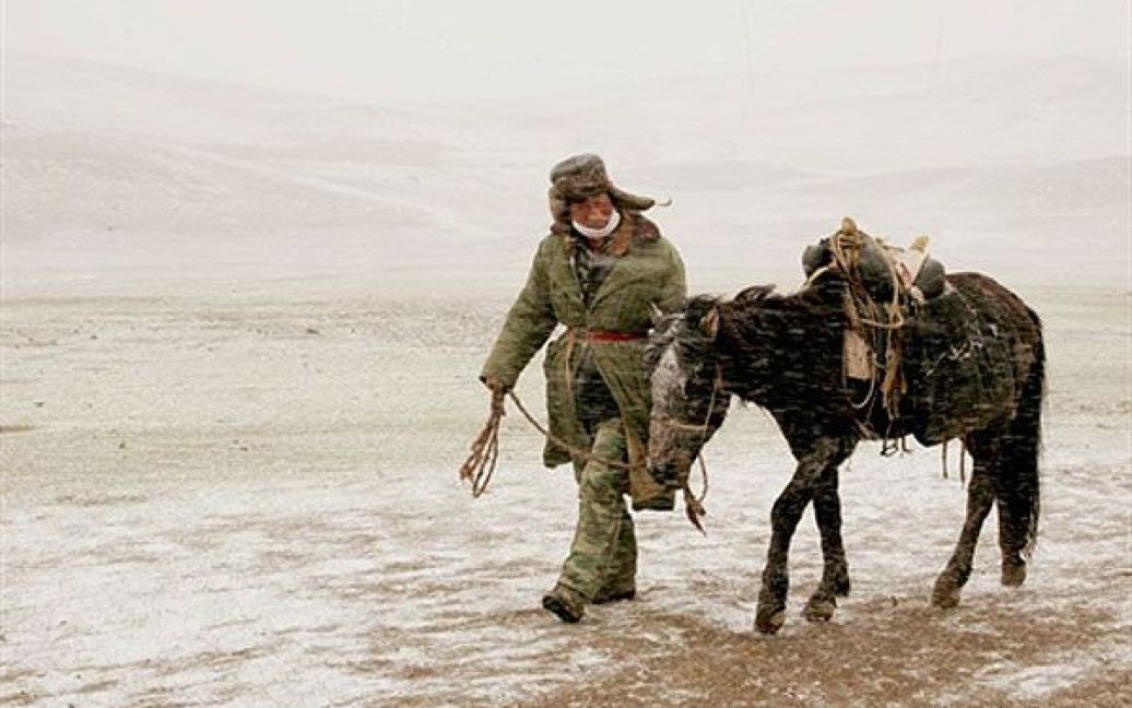 Китай, Хамі. Пастух пробивається крізь сніг у Хамі, (провінція Синьцзян). На Китай обрушилась сильна хуртовина. / © AFP