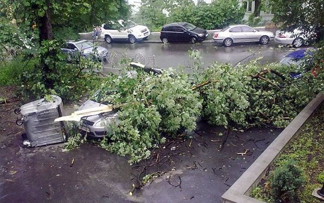 Десятки машин були розчавлені стовбурами або гілками під час буревію. / © gazeta.ua