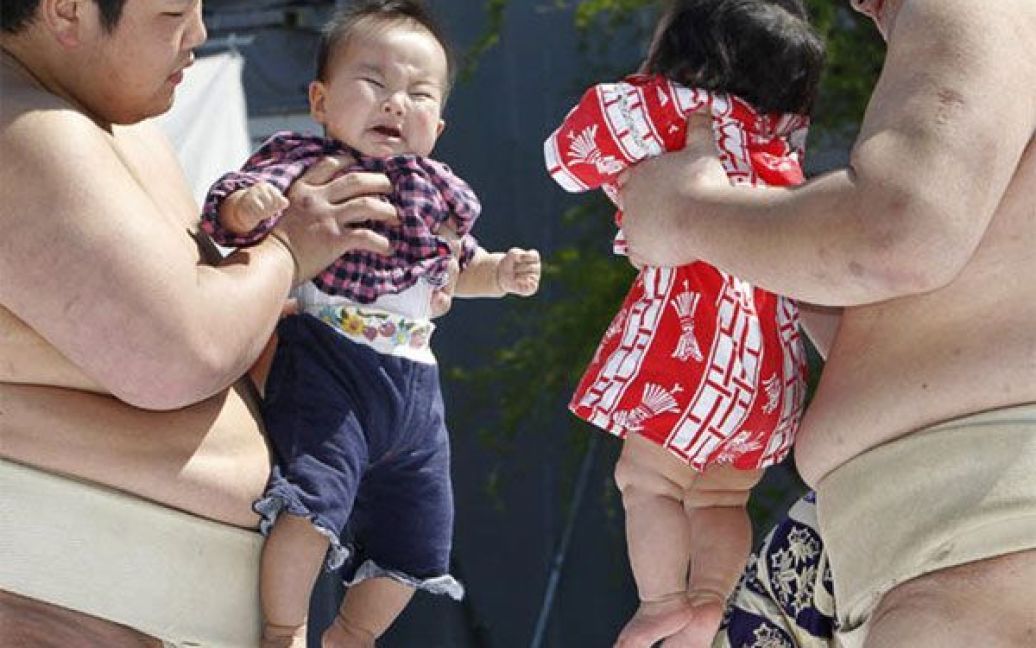 Під час змагань на фестивалі дітей, які плачуть, борці сумо тримають на руках маленьких дітей. / © Getty Images/Fotobank