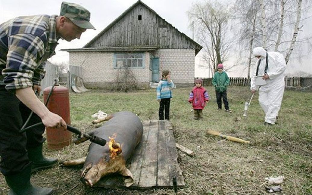 Білорусь, Губаревичі, 30-км зона. Співробітник Білоруського підрозділу радіаційної екології перевіряє рівень радіації. / © AFP