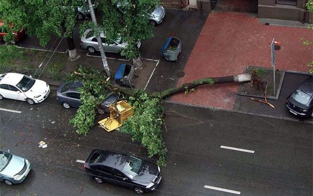 У Києві буря розтрощила сотні дерев і десятки машин / © gazeta.ua