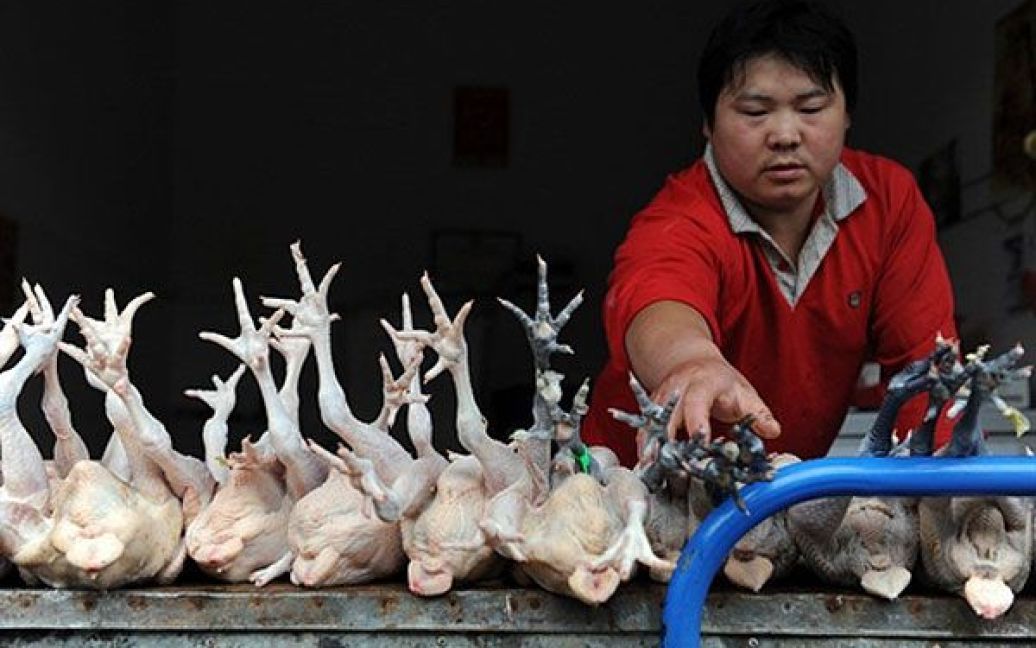 Китай, Хефей. Китайський продавець птиці показує свій товар на на ринку у місті Хефей, провінція Аньхой, Центральний Китай. Китай заявив, що ціни на споживчі товари зросли більше, ніж очікувалось, в той час як, виробництво та інвестиції скоротилися. Це ускладнює спроби уряду відновити стале економічне зростання країни. / © AFP