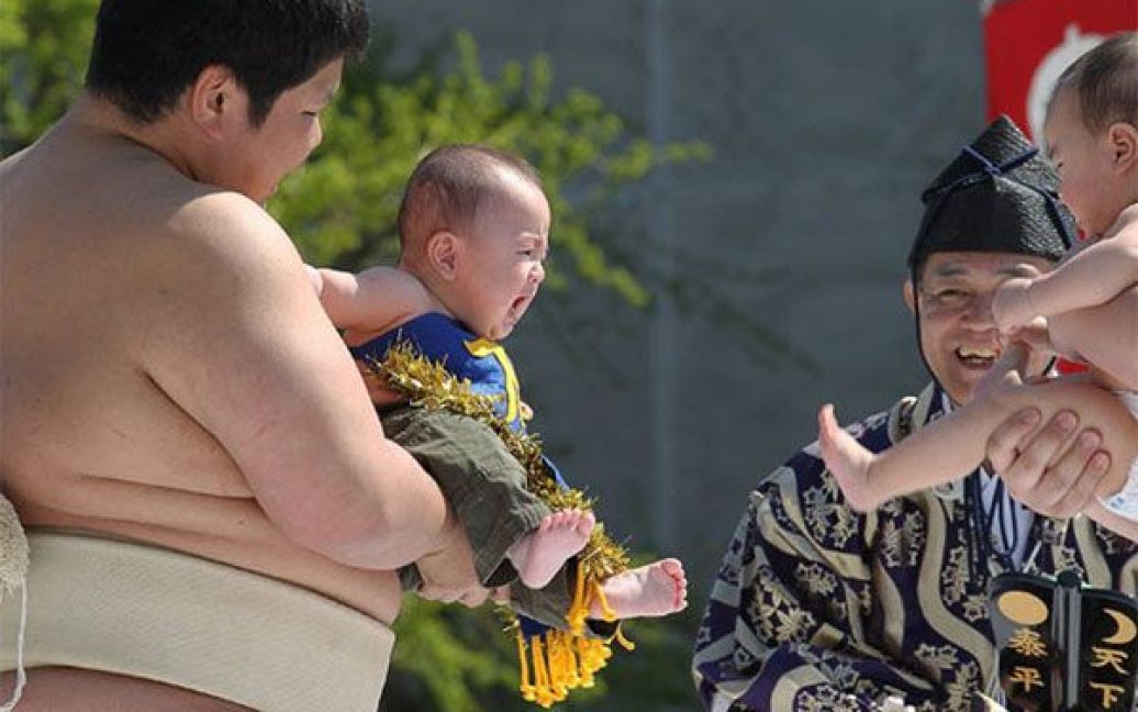 Фестиваль дітей, які плачуть, проводиться в Японії вже 400 років. / © Getty Images/Fotobank