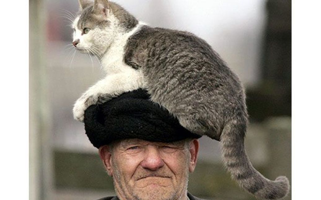 Білорусь, Стрелічево, 30-км зона. Євген Штанюк і його кішка. / © AFP